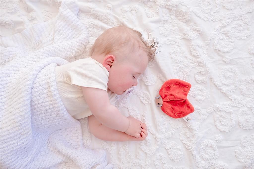 Ladybug Crinkle Toy