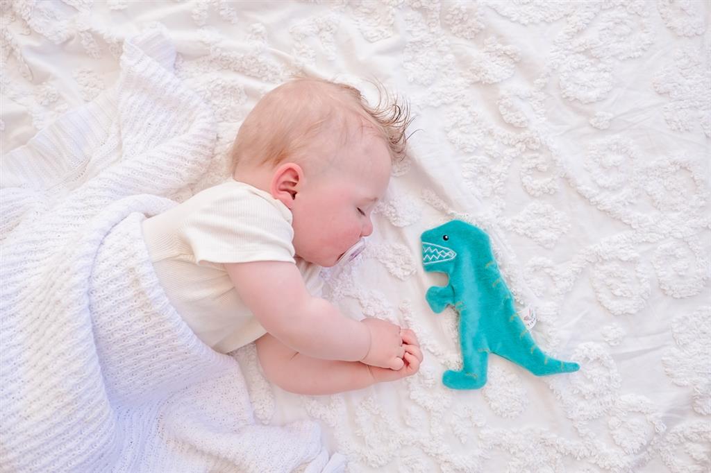 Jouet à Froisser – T‑Rex