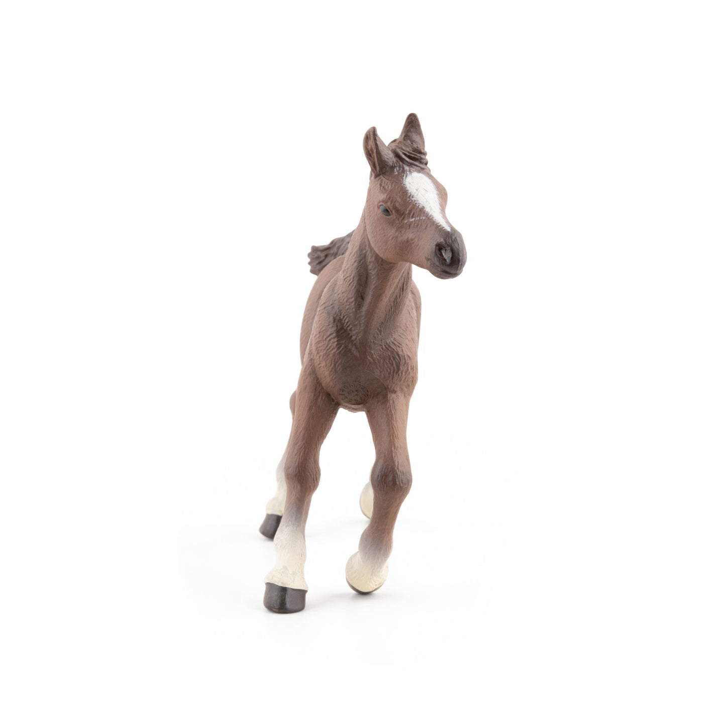 Figurine Poulain anglo-arabe