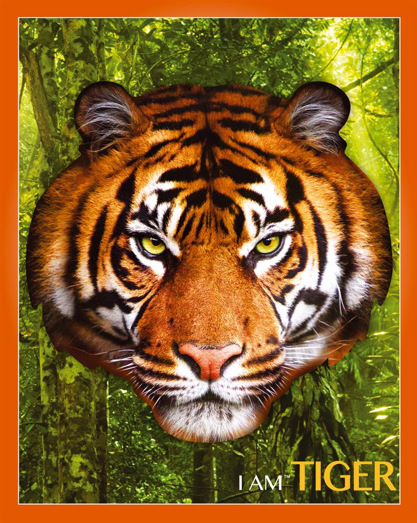 Puzzle Tigre