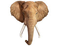 Puzzle Éléphant