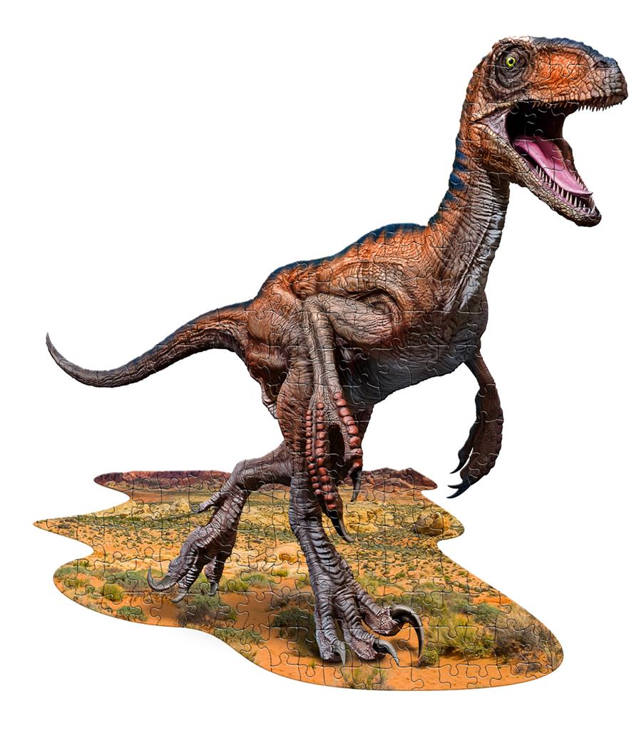 Raptor Puzzle 