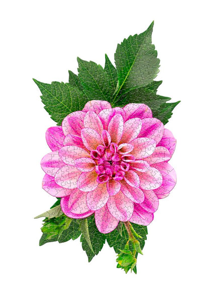 Puzzle Dahlia