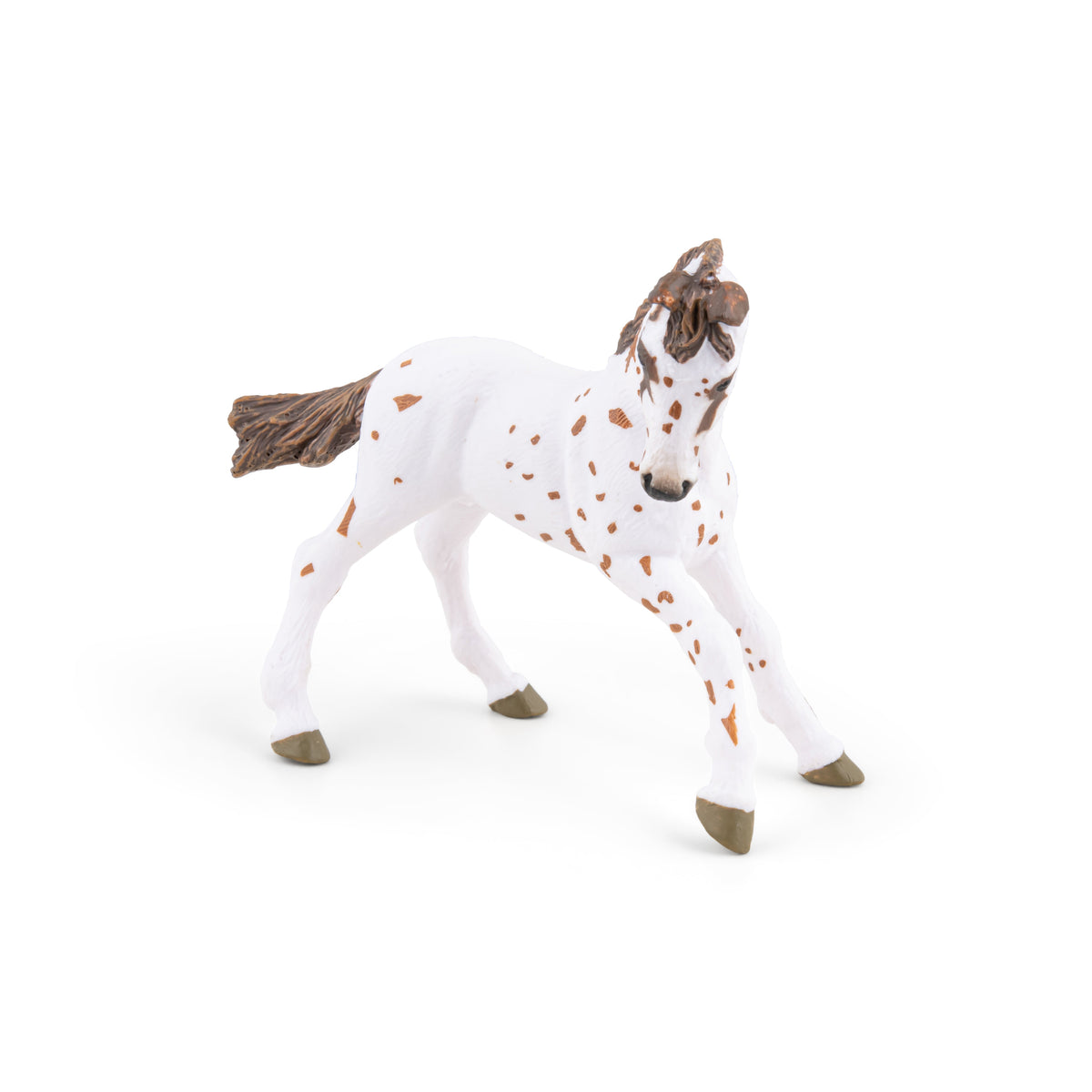 Figurine Poulain appaloosa brun