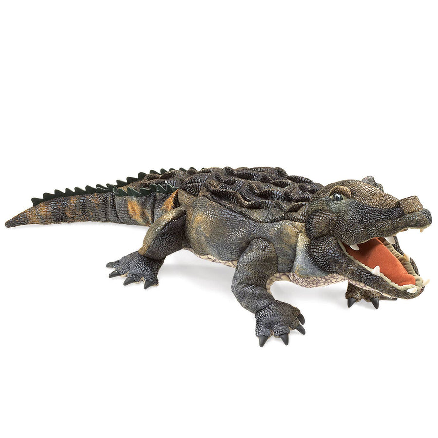 Mississippi-Alligator