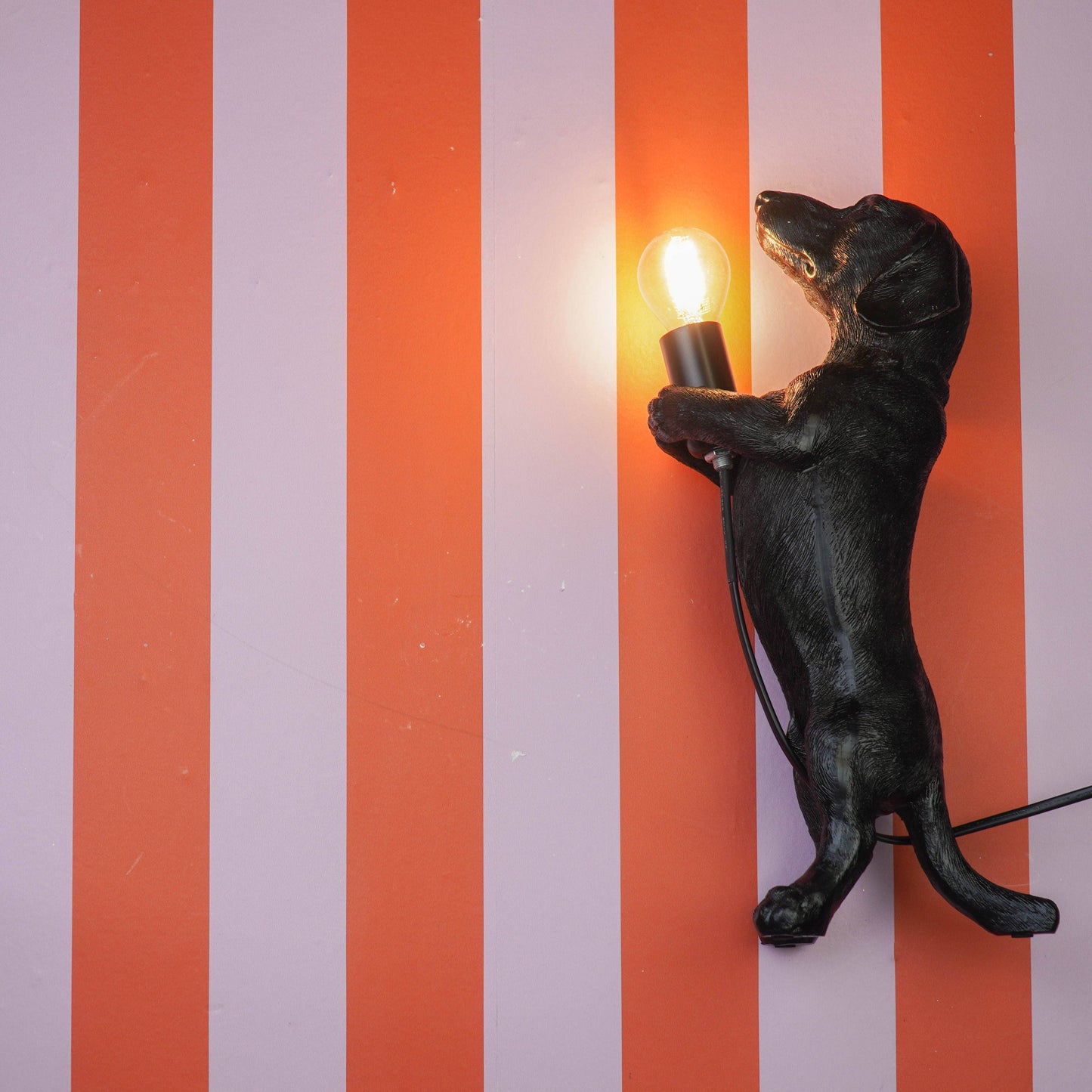 Dachshund Lamp - Black