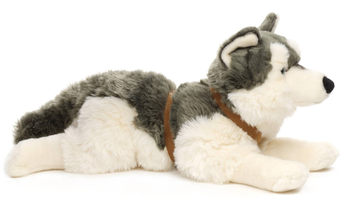Peluche Husky, couché (avec harnais)