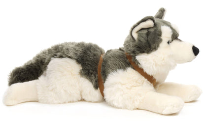 Peluche Husky, couché (avec harnais)