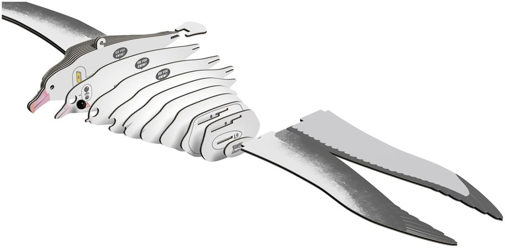 EUGY 3D - Koninklijke Albatros