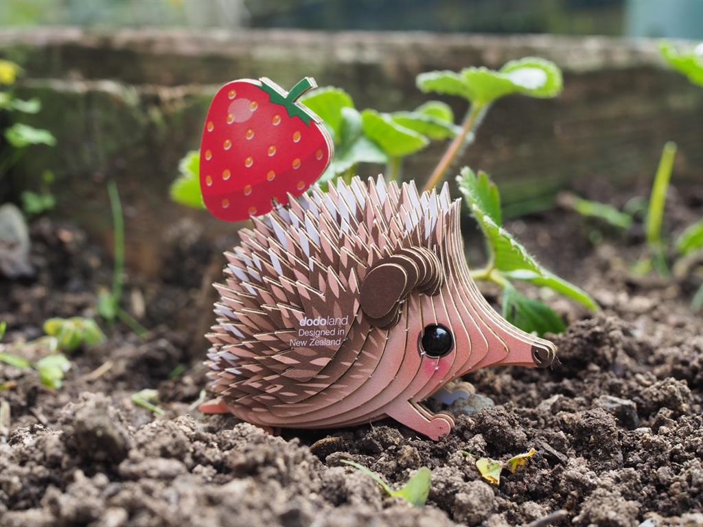 EUGY 3D - Hedgehog