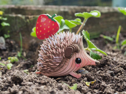 EUGY 3D - Hedgehog