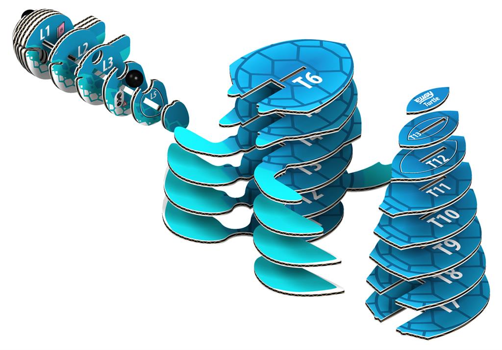 EUGY 3D - Sea Turtle