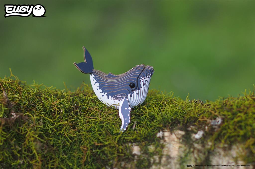 EUGY 3D - Humpback Whale