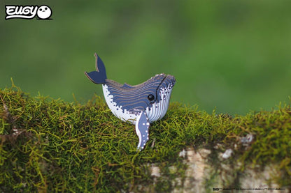 EUGY 3D - Humpback Whale