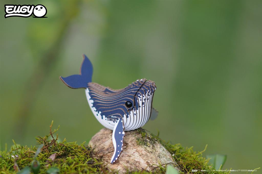 EUGY 3D - Humpback Whale