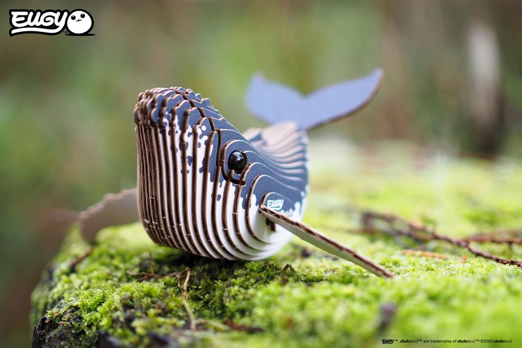 EUGY 3D - Humpback Whale