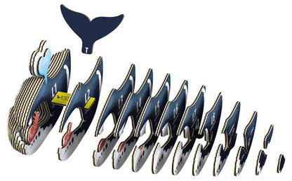 EUGY 3D - Baleine Boréale
