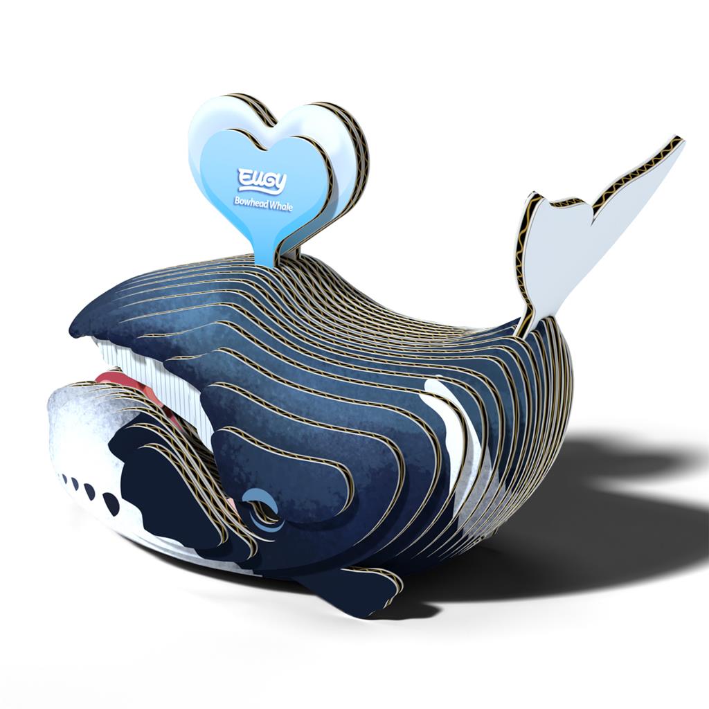 EUGY 3D - Baleine Boréale