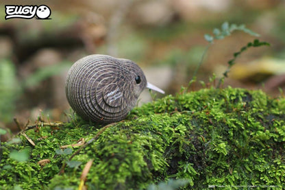 EUGY 3D - Bruine kiwi