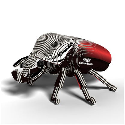 EUGY 3D - Goliath Beetle