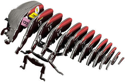 EUGY 3D - Goliath Beetle