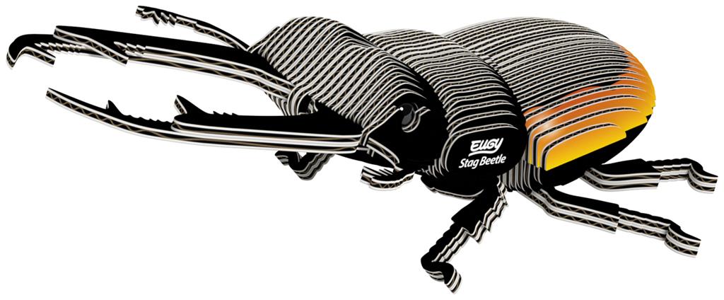 EUGY 3D - Lucanidae-kever