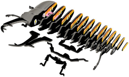 EUGY 3D - Lucanidae-kever