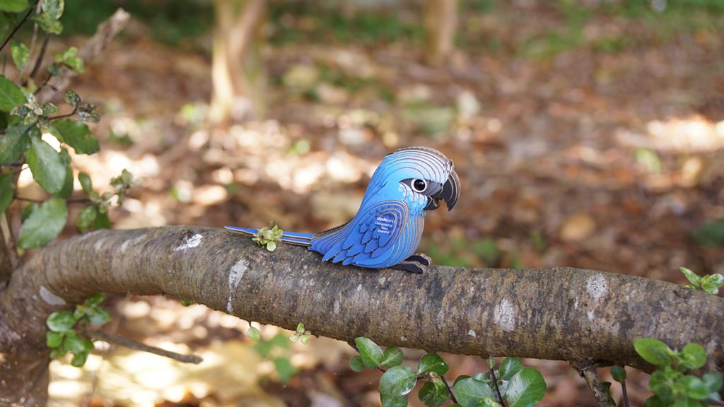 EUGY 3D - Spix's Macaw