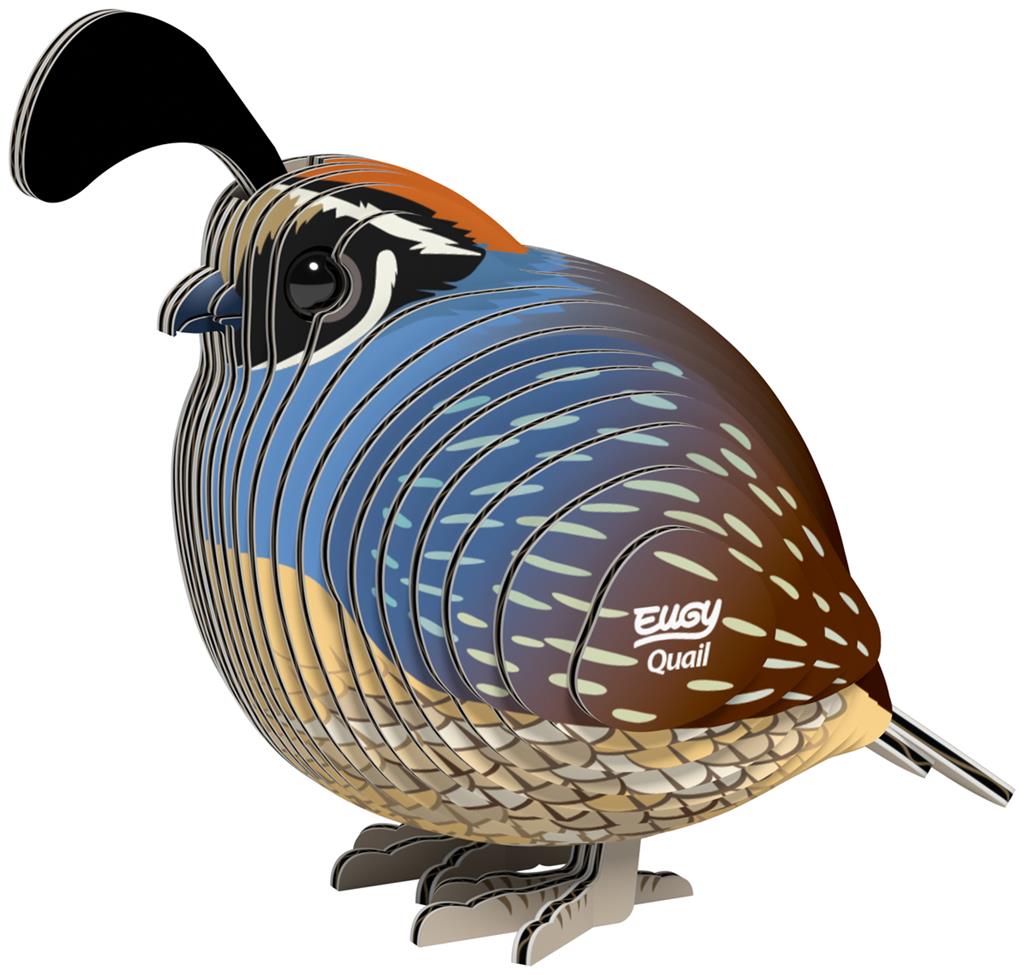 EUGY 3D - Quail