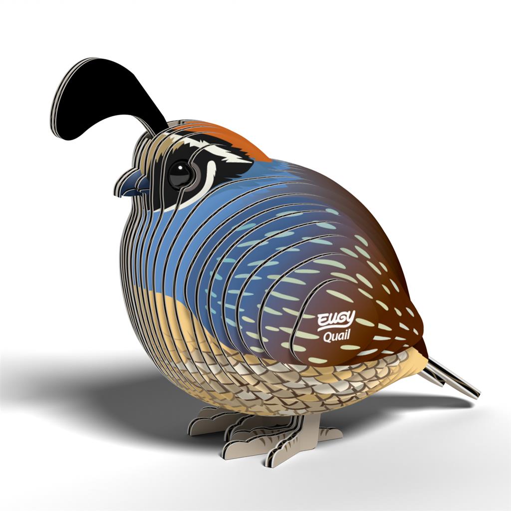 EUGY 3D - Quail