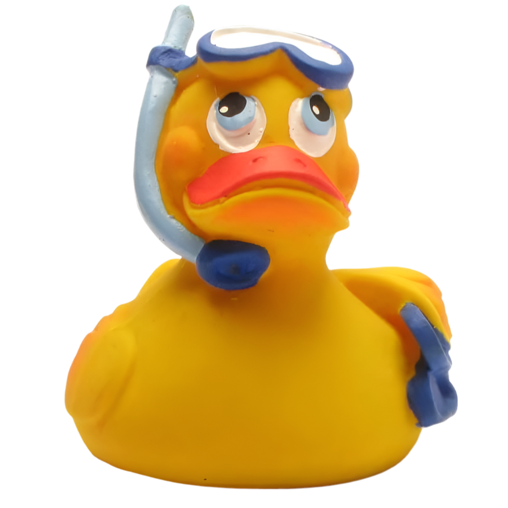 Duikeend met snorkel