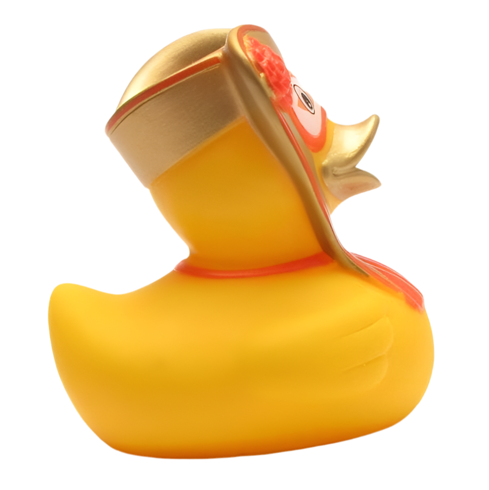 Venice Carnival Duck Man