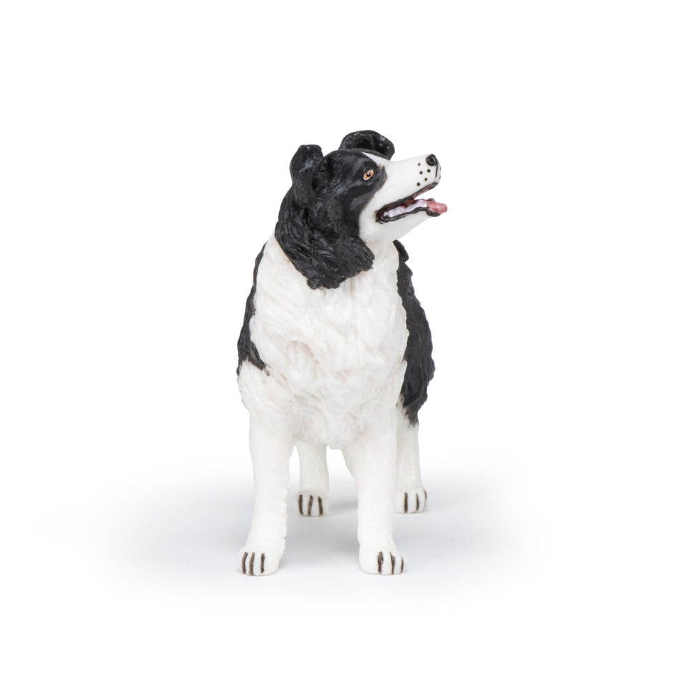 Figurine Border collie
