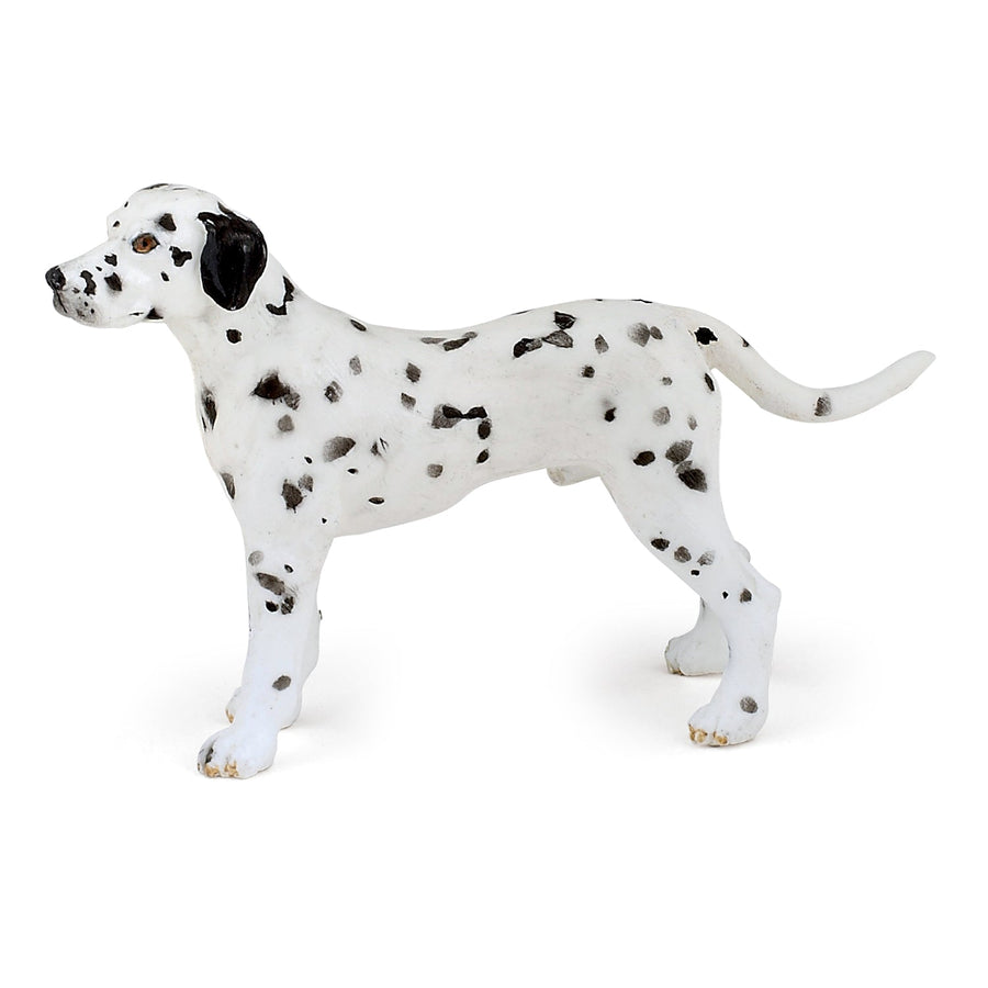 Dalmatien