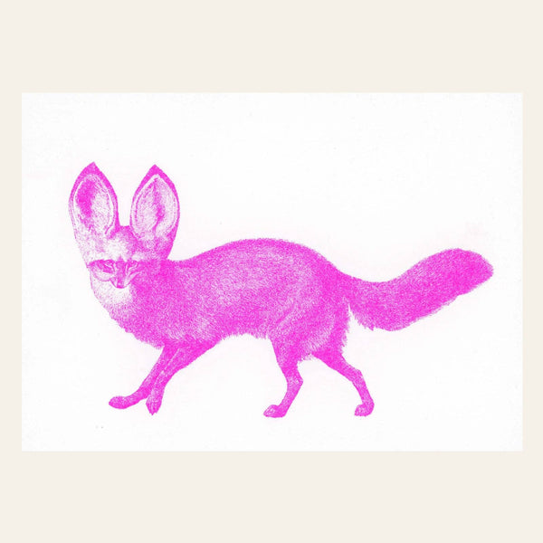 Neonroze fennek ansichtkaart