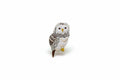 Owl Iron-On Patch