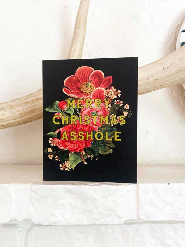 Coffret de 10 cartes "Merry Christmas Asshole"