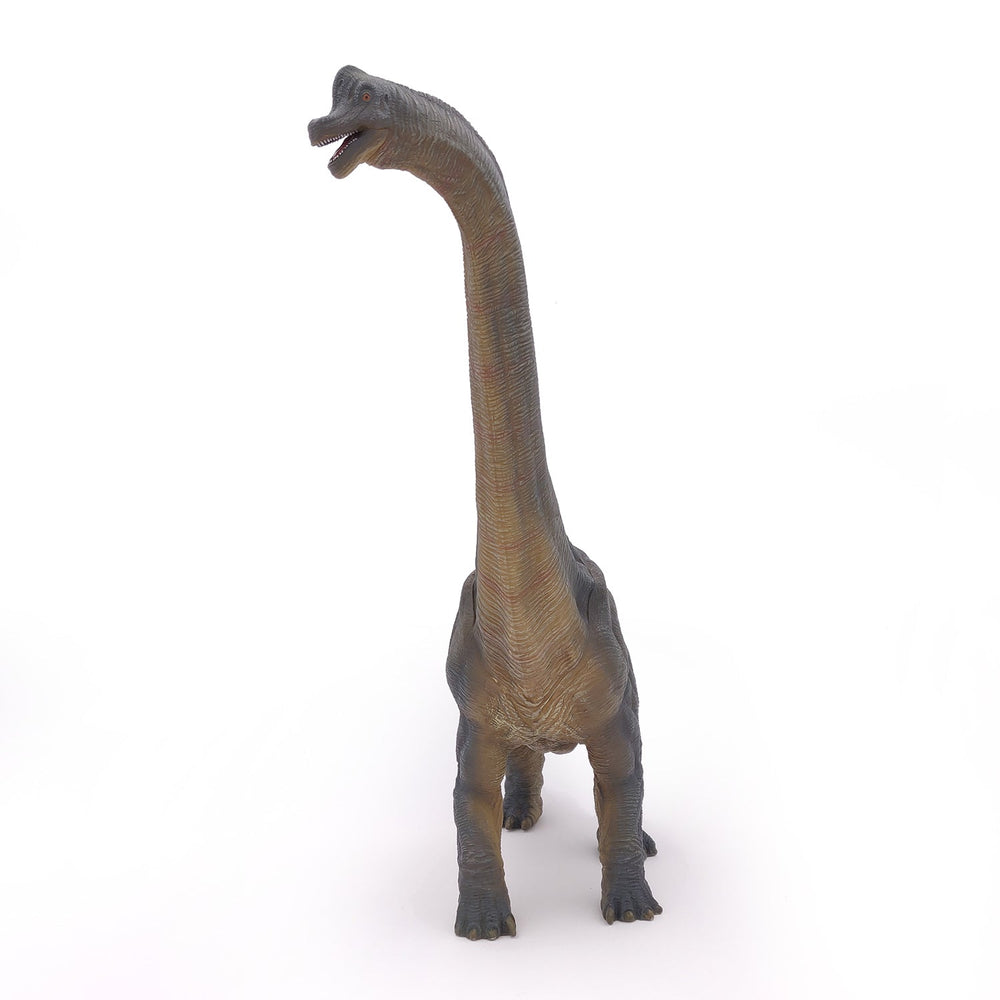 Brachiosaurus Figure