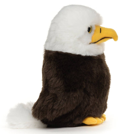 Peluche Bébé pygargue à tête blanche