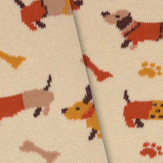 Durable and fun cotton socks for boys - Parrot