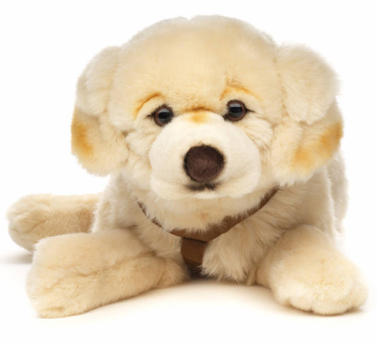 Pluche Golden Retriever, liggend (met tuigje)