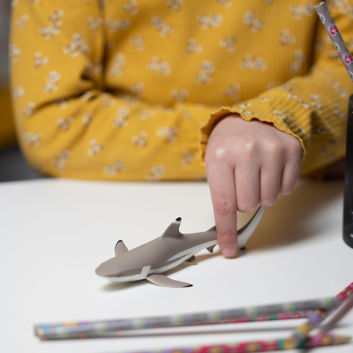 Figurine Requin à pointes noires