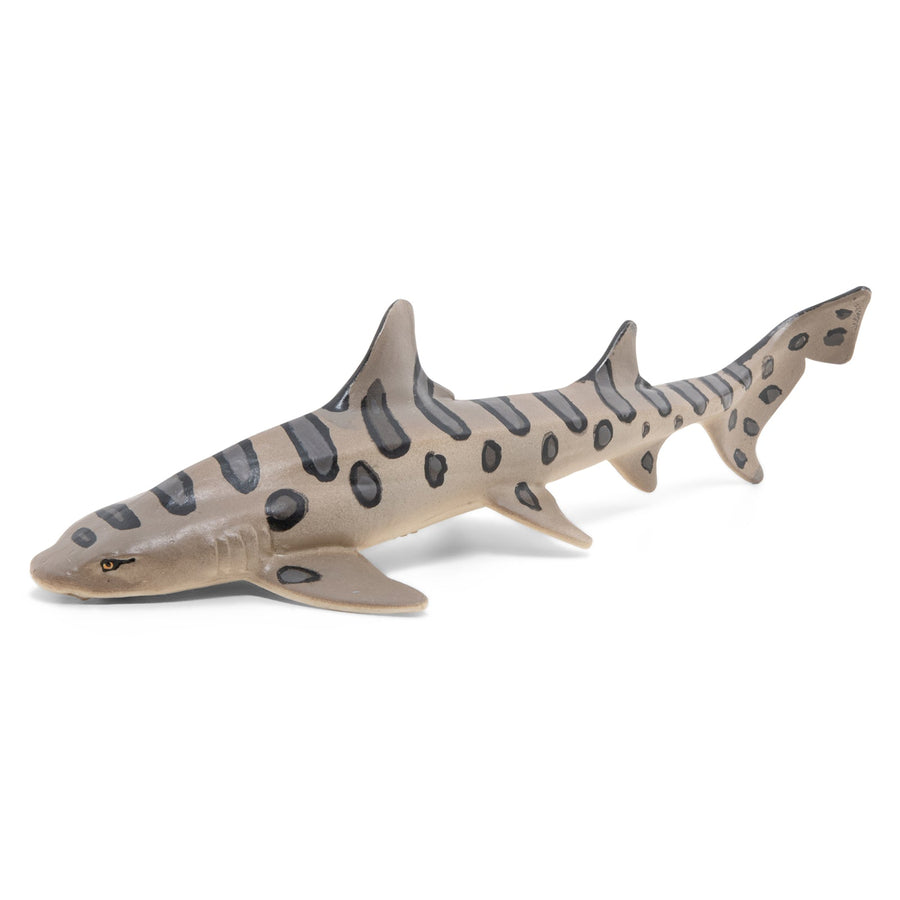 Requin léopard