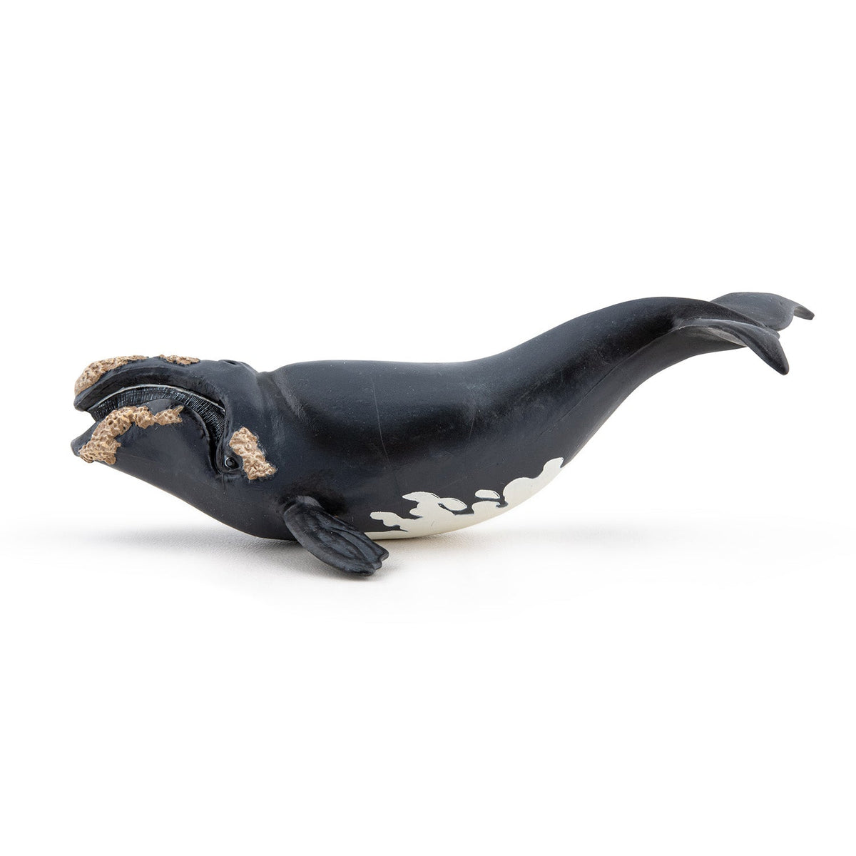 Figurine Baleine franche