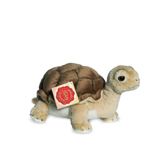 Knuffelschildpad