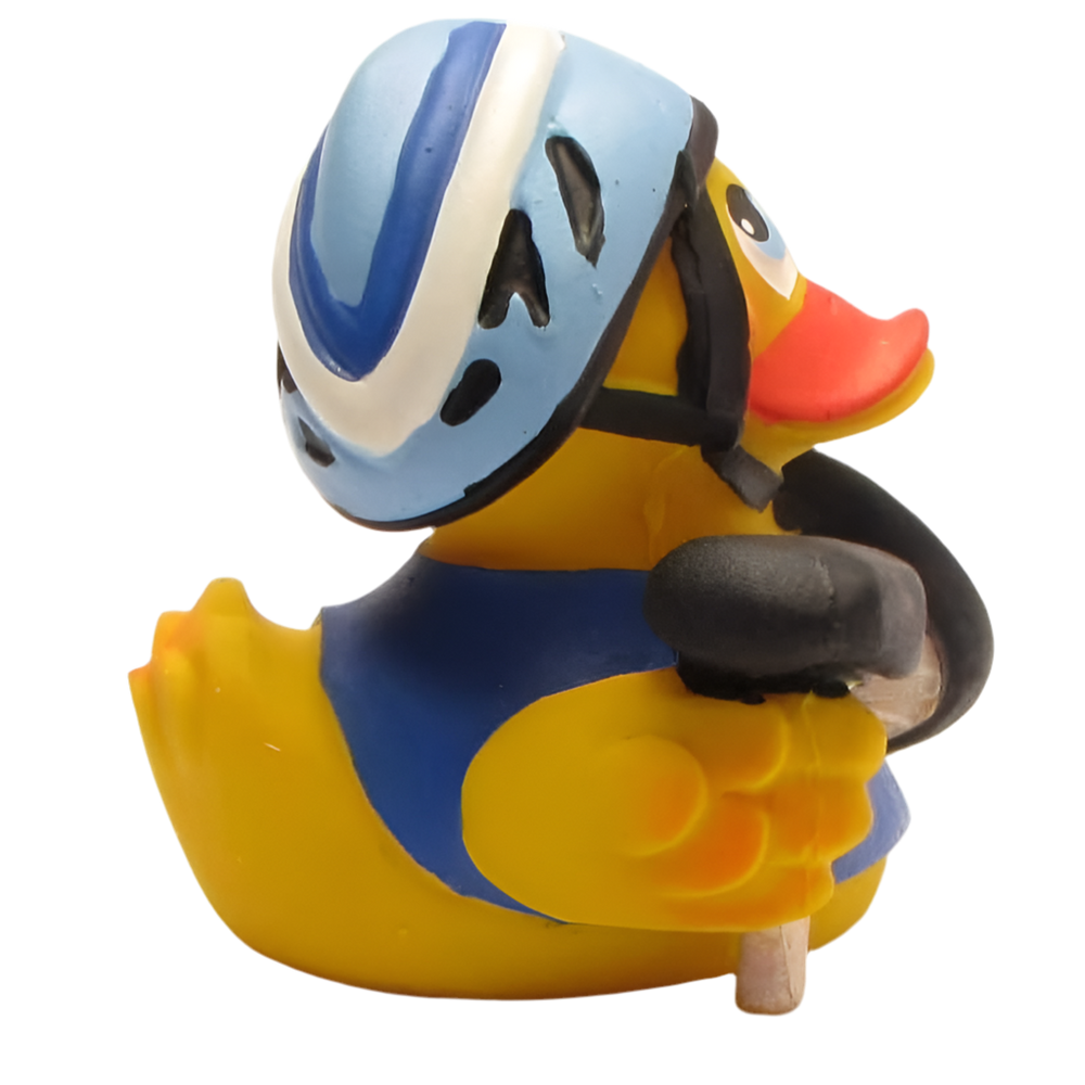 Cycling Duck