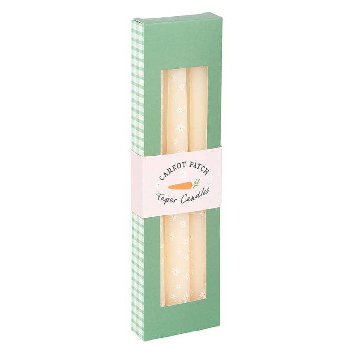 Set of 3 tapered candles Carrot Patch White Daisy