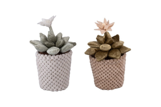 SMALL FABRIC CACTUS H17CM 2ASS - 5926041