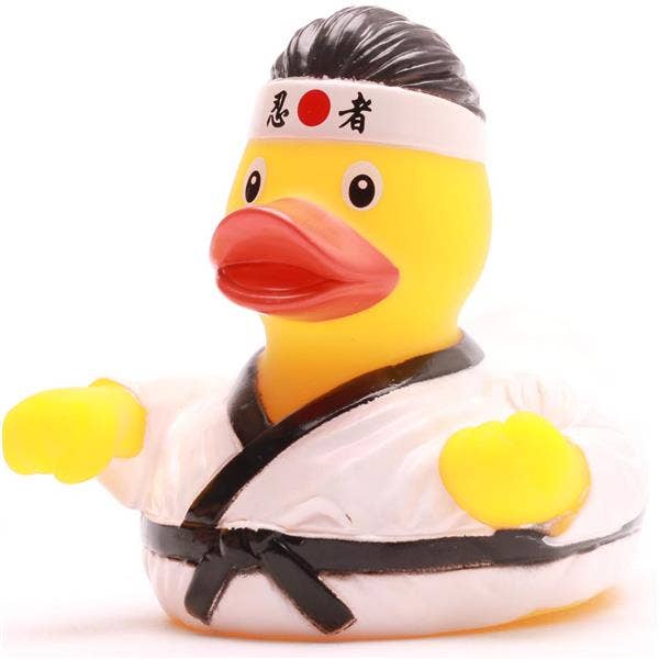 Karate-eend