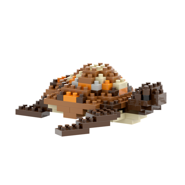 BRIXIES Tortue